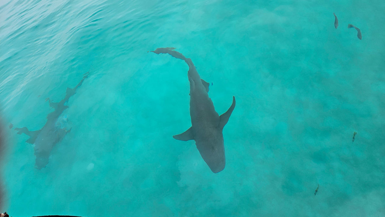 Sport & Freizeit Centara Ras Fushi Resort & Spa Maldives