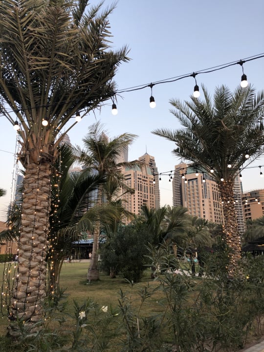 Gartenanlage Le Royal Méridien Beach Resort & Spa Dubai