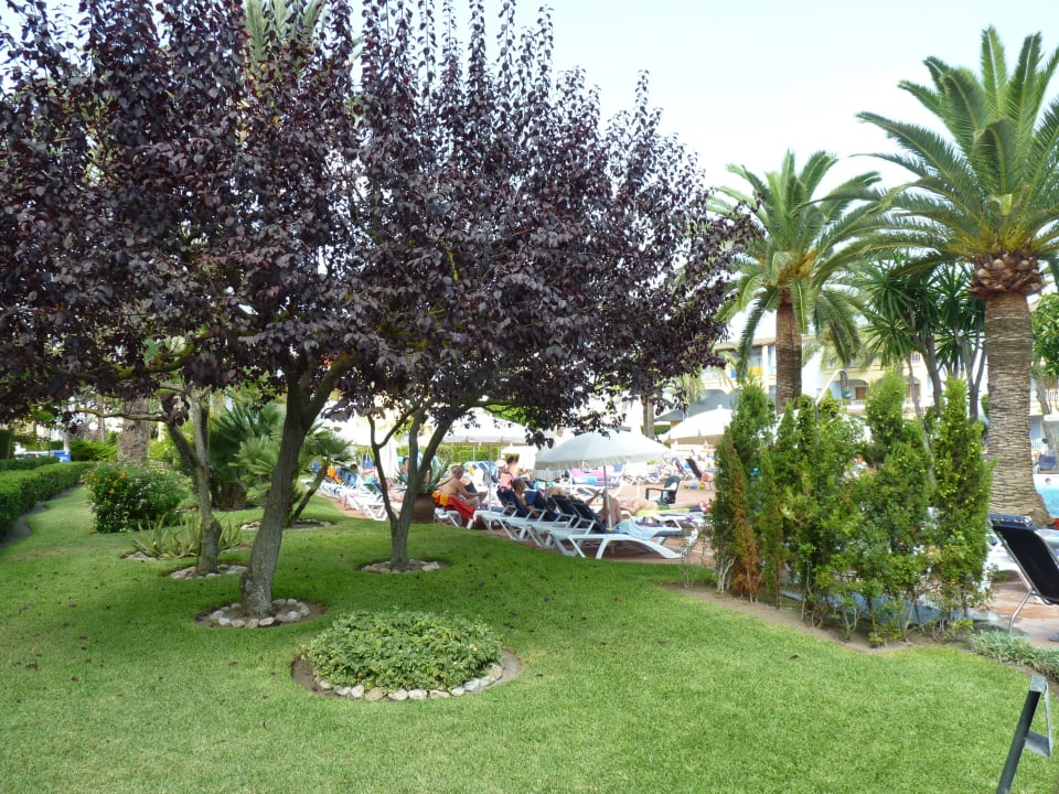 Garten Alcudia Garden Aparthotel