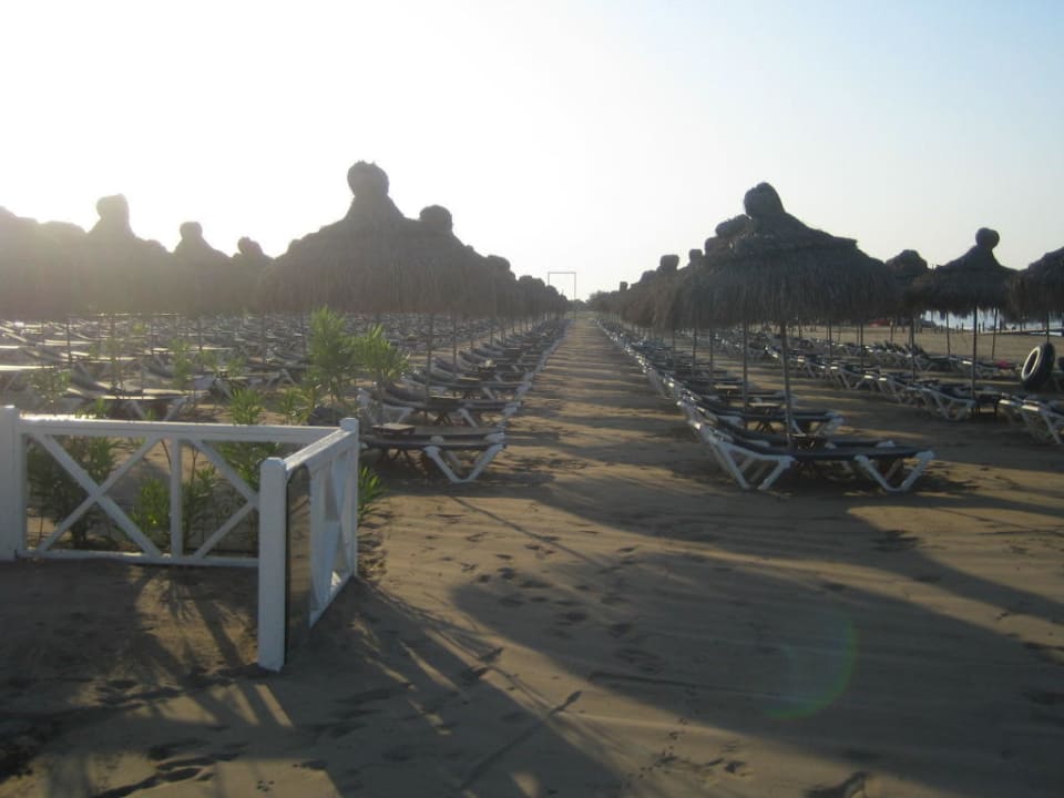 Liegen so weit das Auge reicht Voyage Belek Golf & Spa