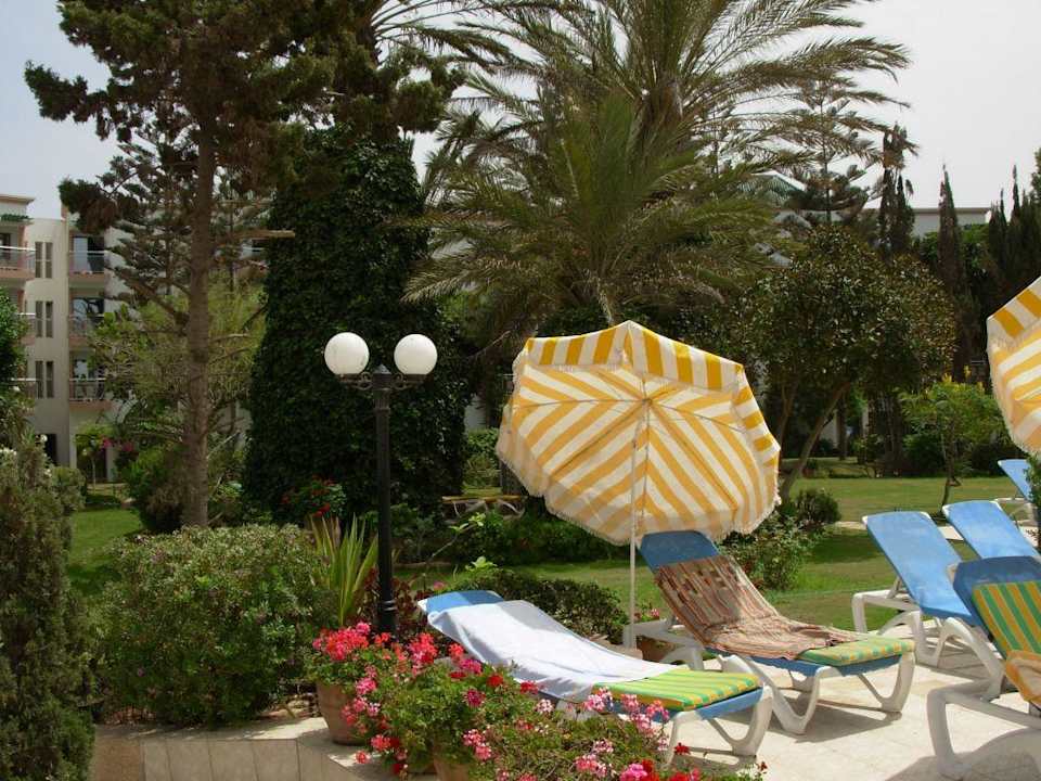Przy basenie Agadir Beach Club Hotel