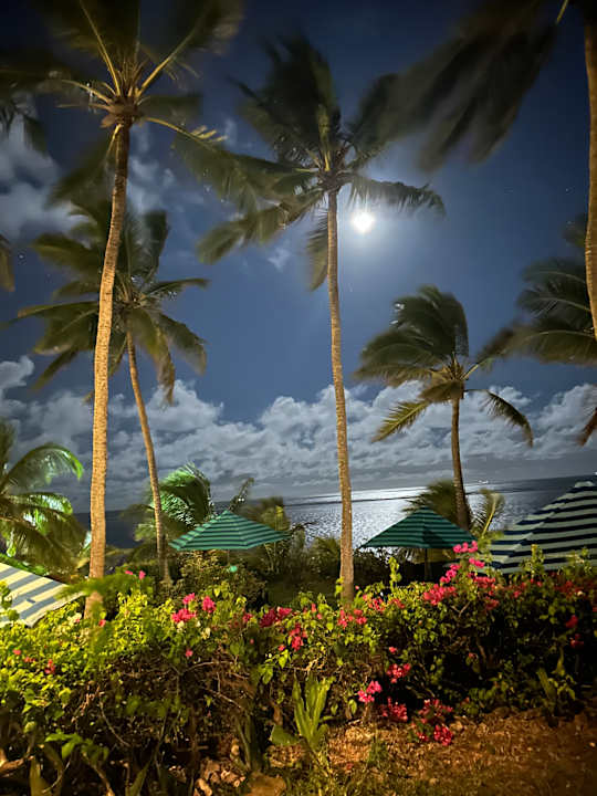 Sonstiges Bahari Beach Hotel