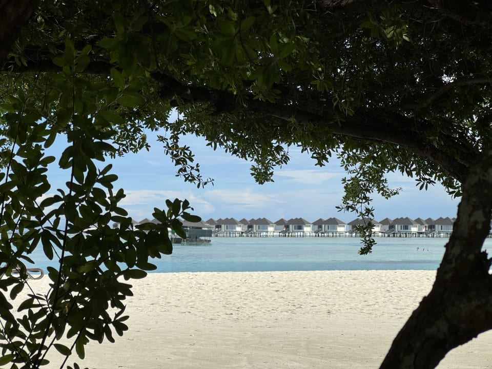 Außenansicht Cinnamon Dhonveli Maldives