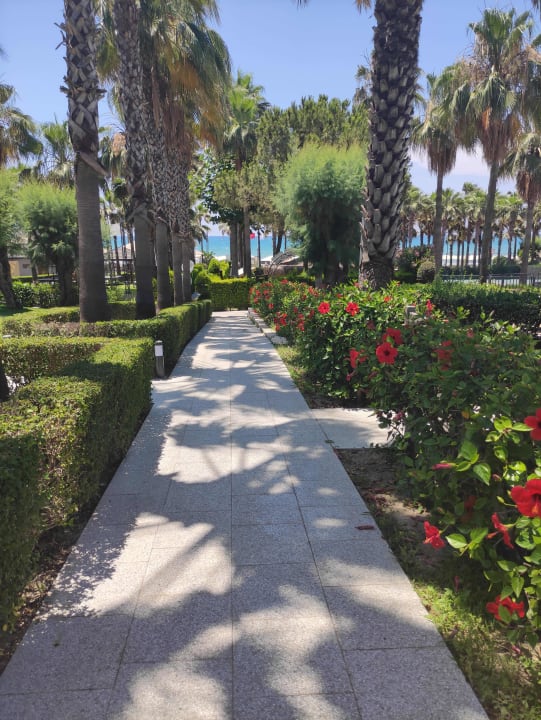 Gartenanlage Hotel Miramare Beach