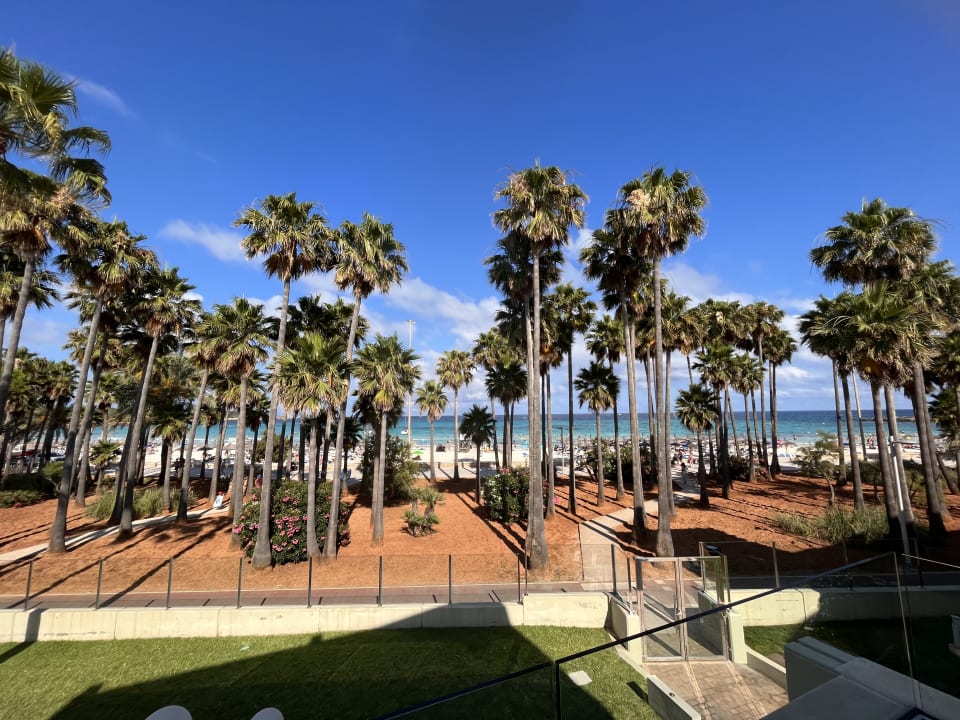 Ausblick Hipotels Mediterraneo Club