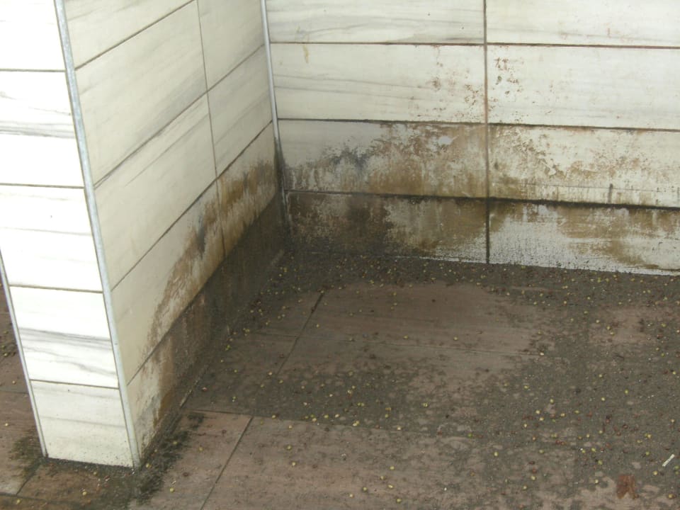 Dusche am hotelstrand Hotel Club Tess