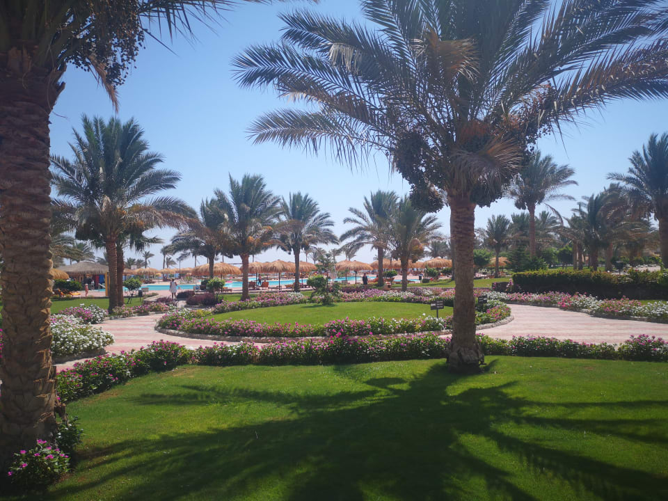 Gartenanlage Three Corners Sea Beach Resort