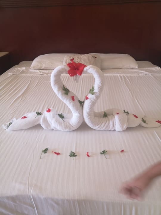 Zimmer Malikia Resort Abu Dabbab