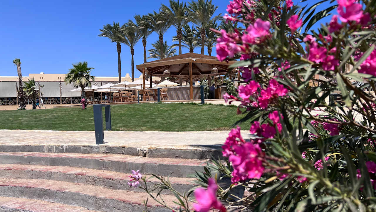 Gastro Steigenberger Golf Resort El Gouna