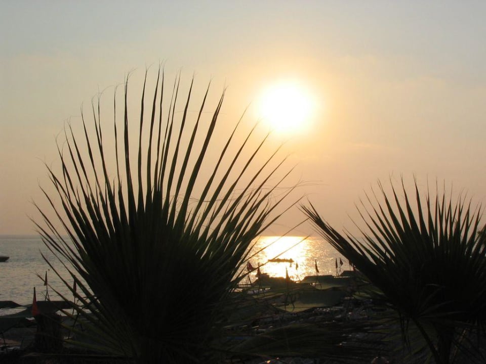 Abendstimmung Botanik Hotel & Resort