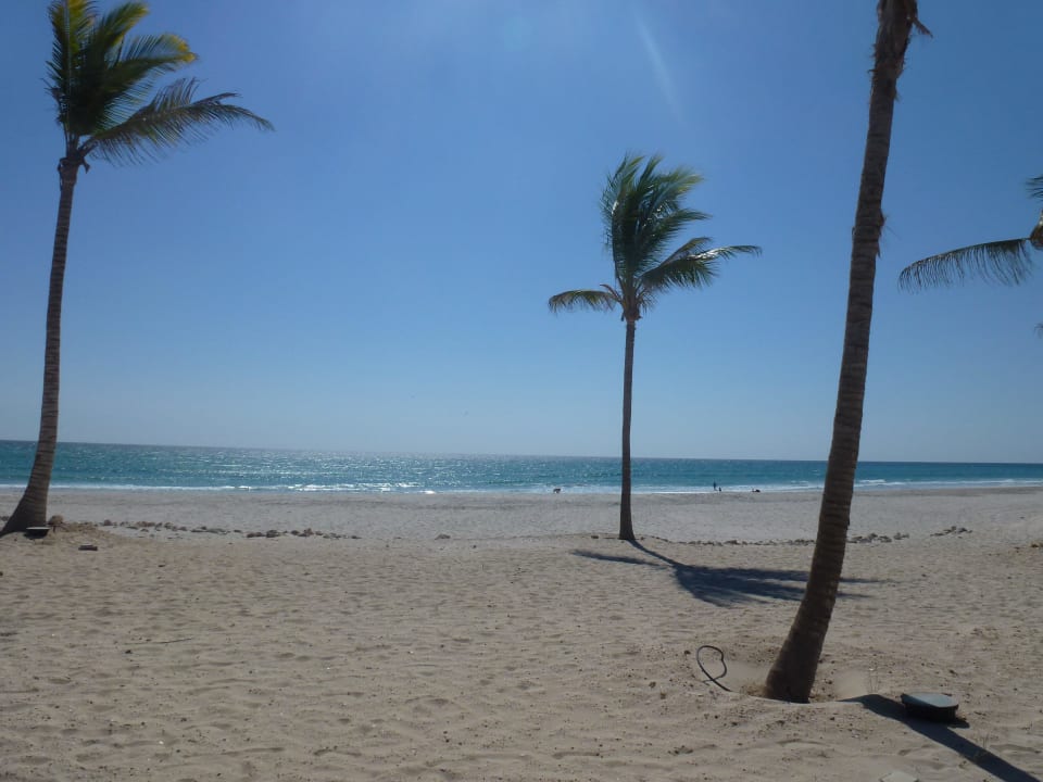 Ein Traum Salalah Rotana Resort