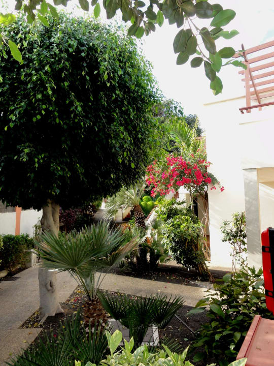 Eindrücke von der Hotelgartenanlage Alua Suites Fuerteventura