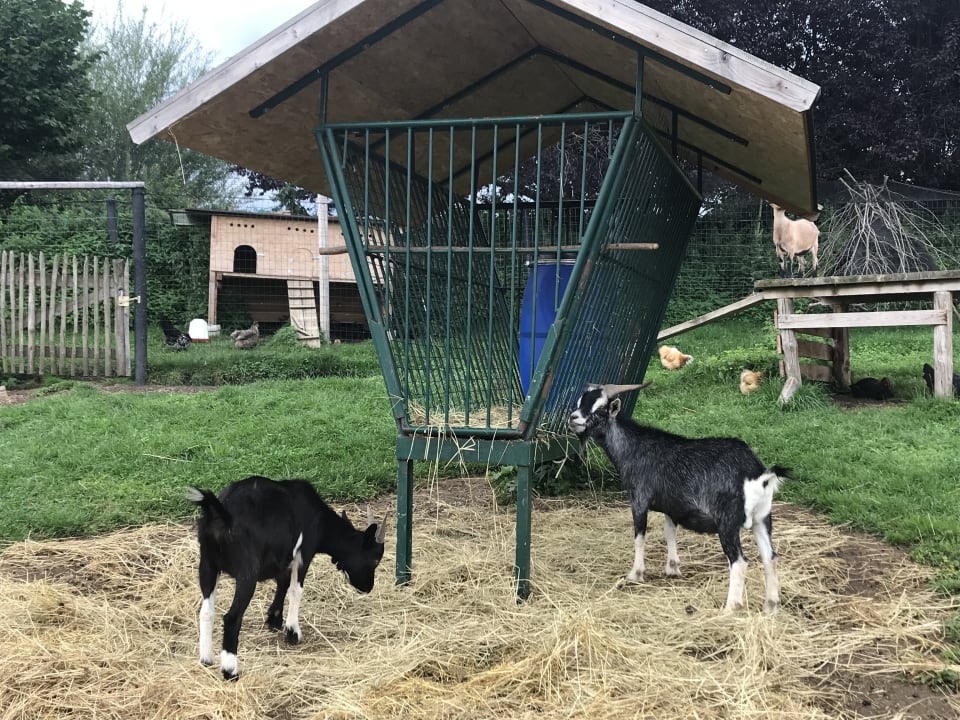 Sonstiges Höglerhof  Ferienwohnung Westenburger
