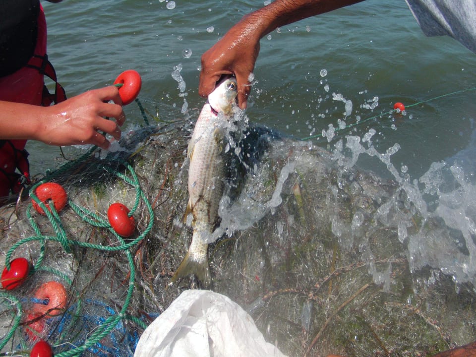 Der liegt heute Abend auf dem Tisch Houda Golf & Beach Club