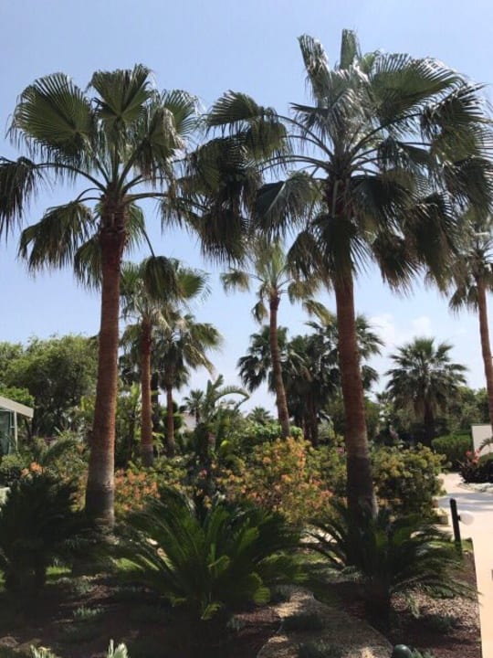 Gartenanlage VONRESORT Golden Coast