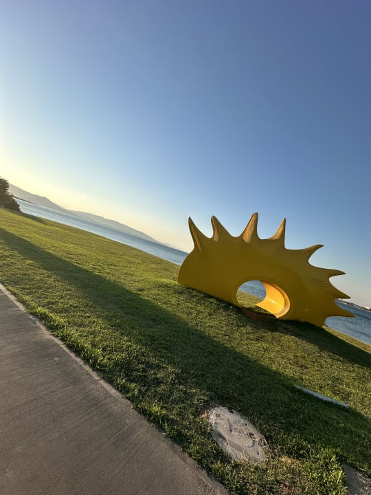 Ausblick Anda Barut Collection