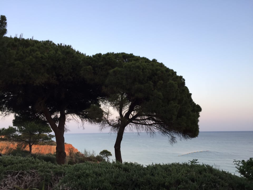 Ausblick PortoBay Falésia