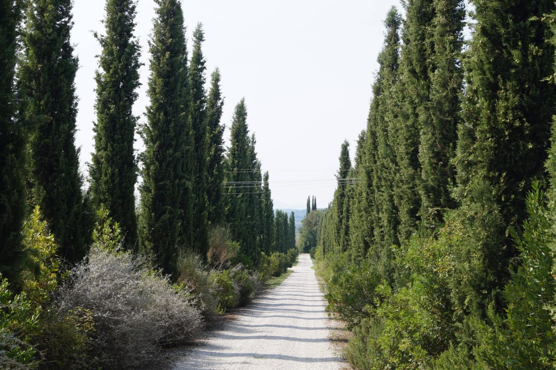 Wege zwischen den Häusern Tenuta Il Cicalino