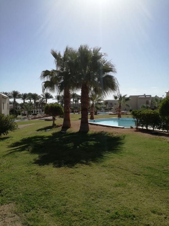 Gartenanlage Coral Sea Holiday Village