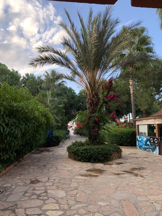 Gartenanlage Club Turtas Beach Hotel