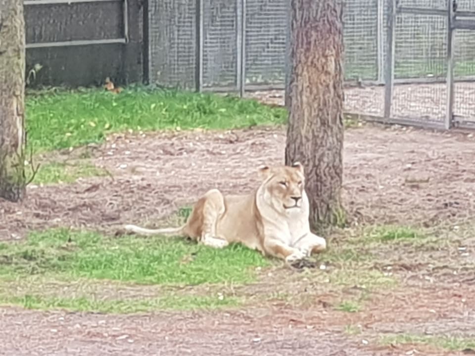 Sport & Freizeit Safariland Stukenbrock Erlebnisresort