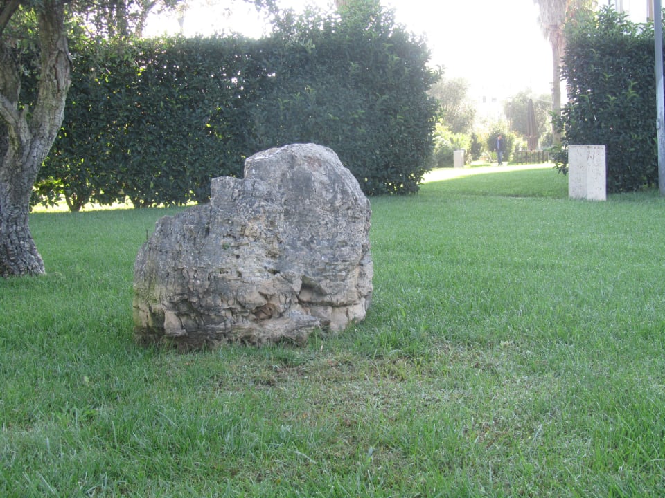 Es grünt so grün Hilton Garden Inn Lecce