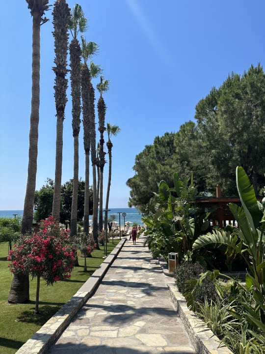 Gartenanlage Arum Barut Collection