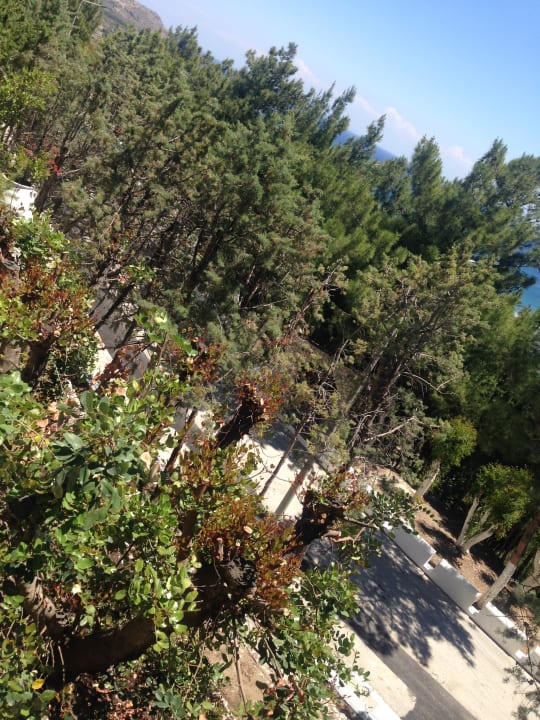 Ausblick Esperos Village Blue & Spa - Adults only