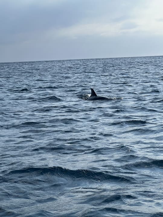 Strand Le Meridien Ile Maurice