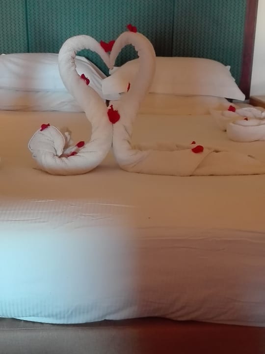 Zimmer Pickalbatros Citadel Resort