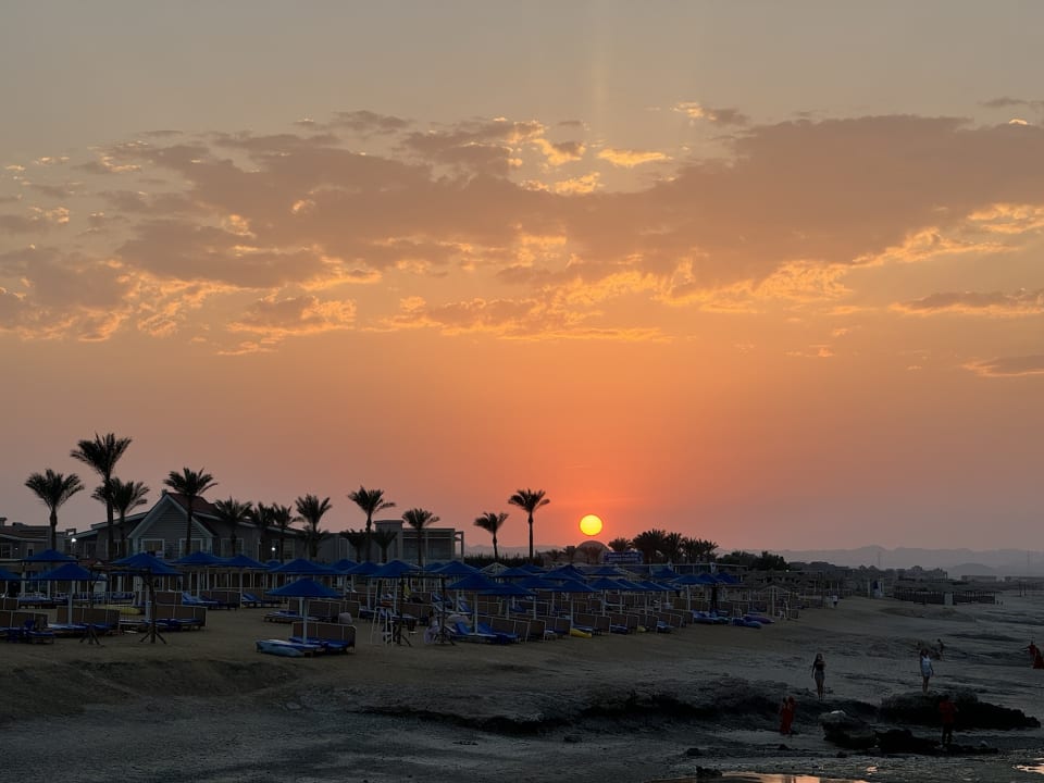 Strand Pickalbatros Sea World Resort - Marsa Alam