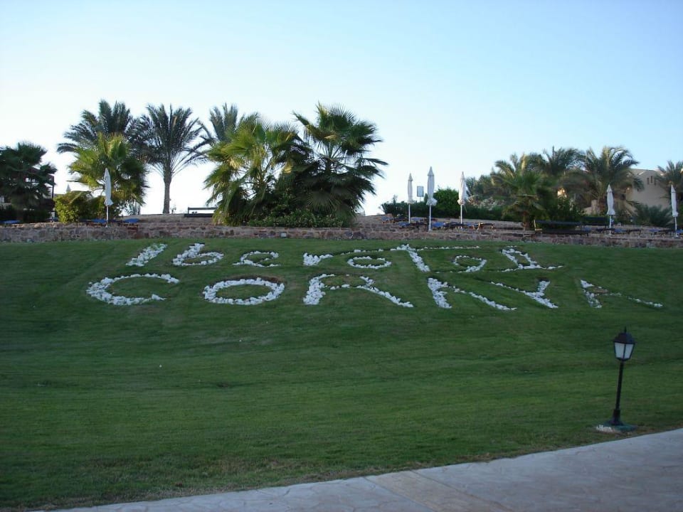 Sonnenterrassen zwischen Pool und Strand Steigenberger Coraya Beach - Adults only