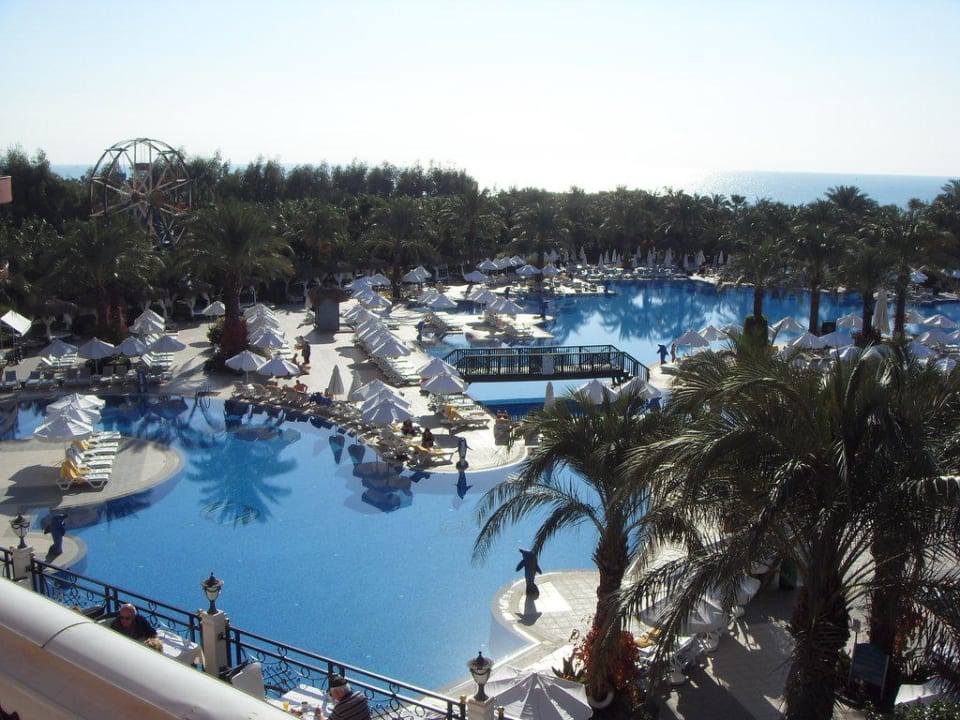 Gepflegte Poolanlage Hotel Delphin Palace
