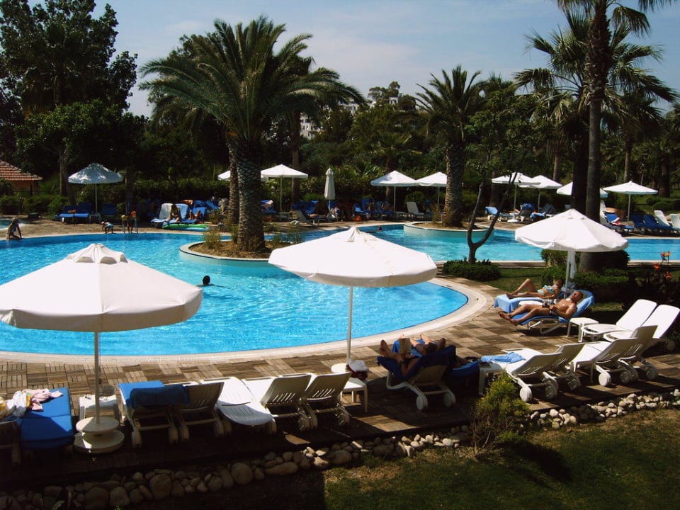 Blick auf den Pool Hotel Grand Side