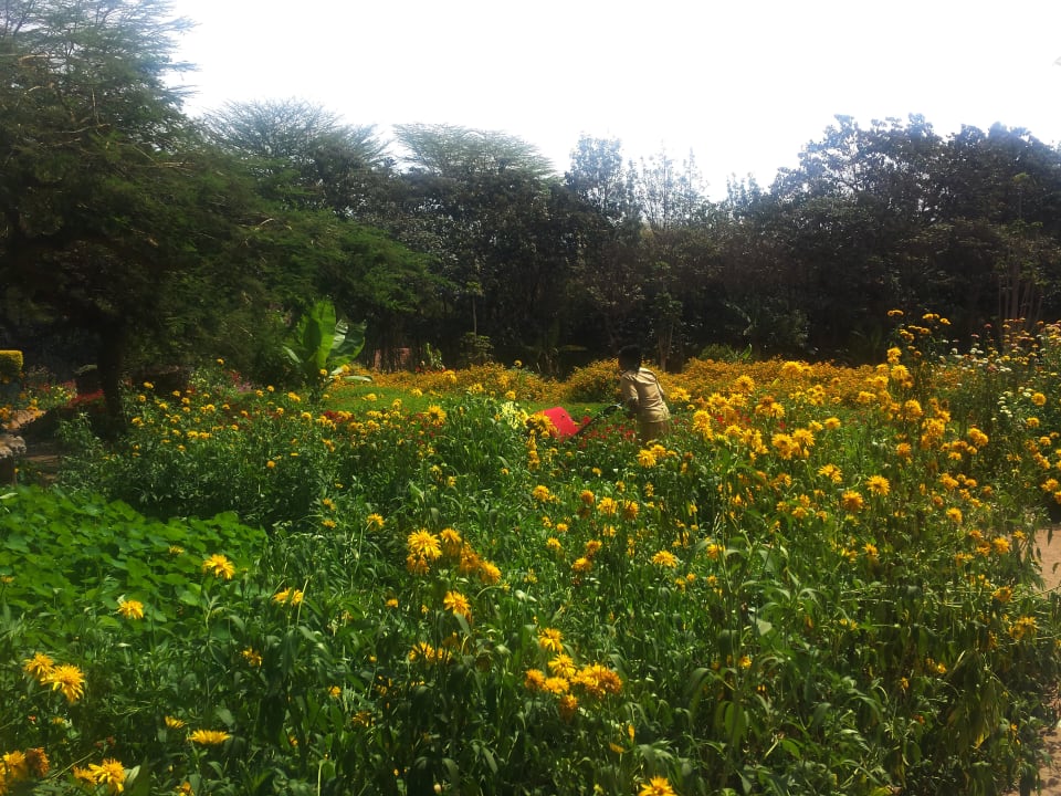 Gartenanlage Ngorongoro Farm House