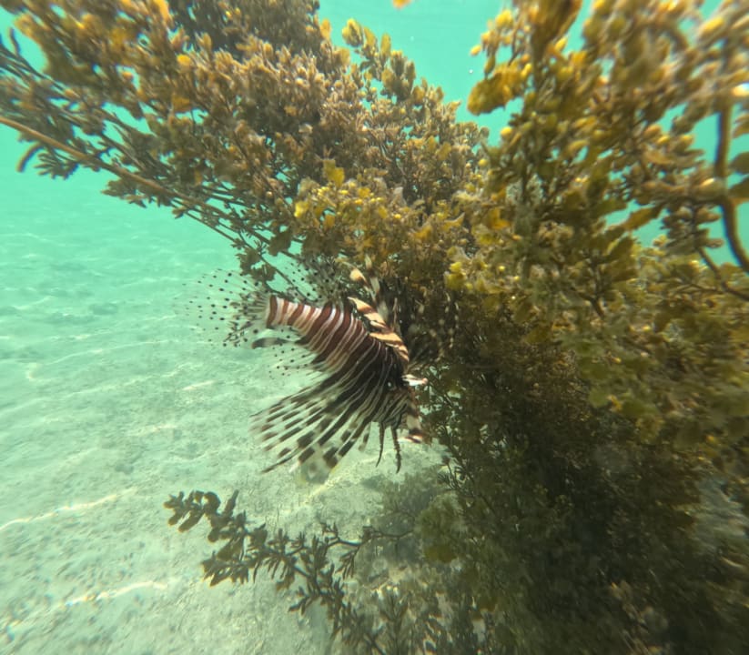 Strand Sofitel Imperial Resort & Spa