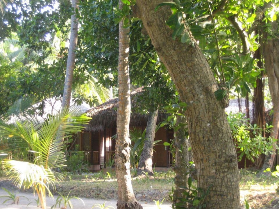 Bungalow im Coconut Kuramathi Maldives
