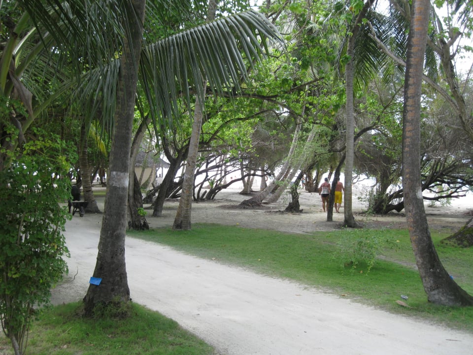 Blick von unserem Bungalow  Adaaran Select Hudhuran Fushi - Premium All Inclusive