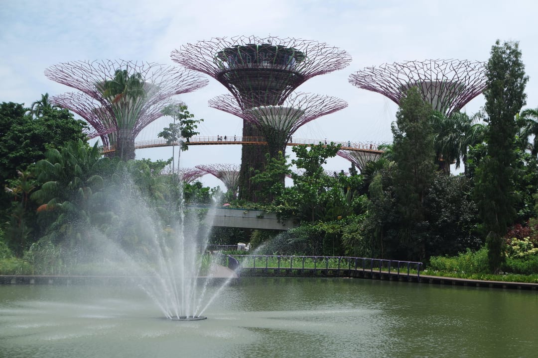 Gardens by the Bay Marina Bay Sands