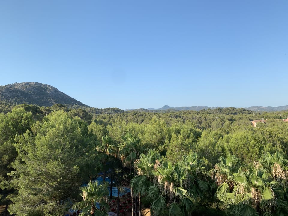 Ausblick Valentin Grand Park Suite Hotel