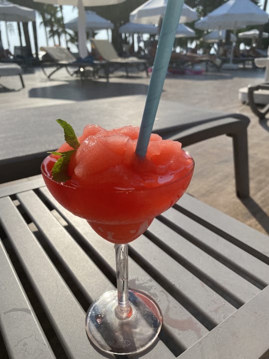 Gastro Acanthus Cennet Barut Collection