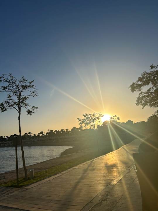 Strand The Grand Palace - Adults only