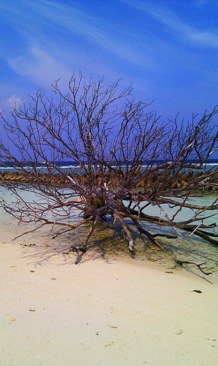 Nordseite nähe O-Bar Kuredu Island Resort & Spa