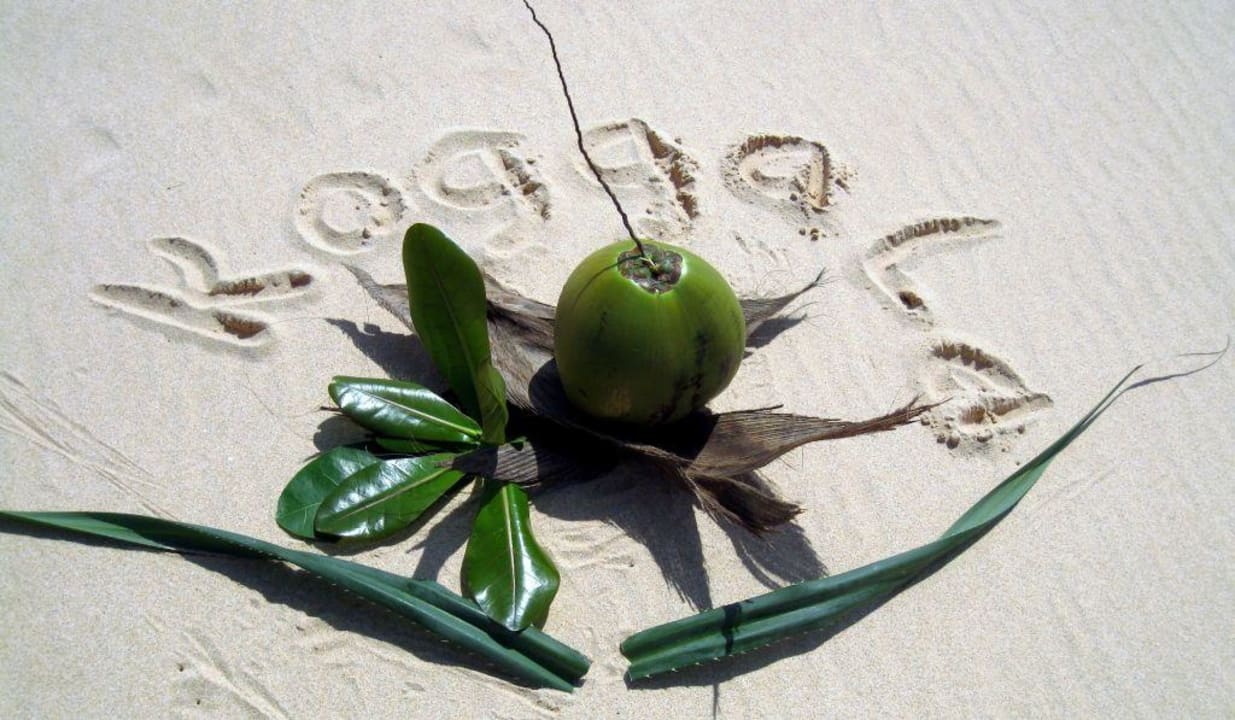 Hier verbrachten wir unsere Flitterwochen... Hotel Koggala Beach