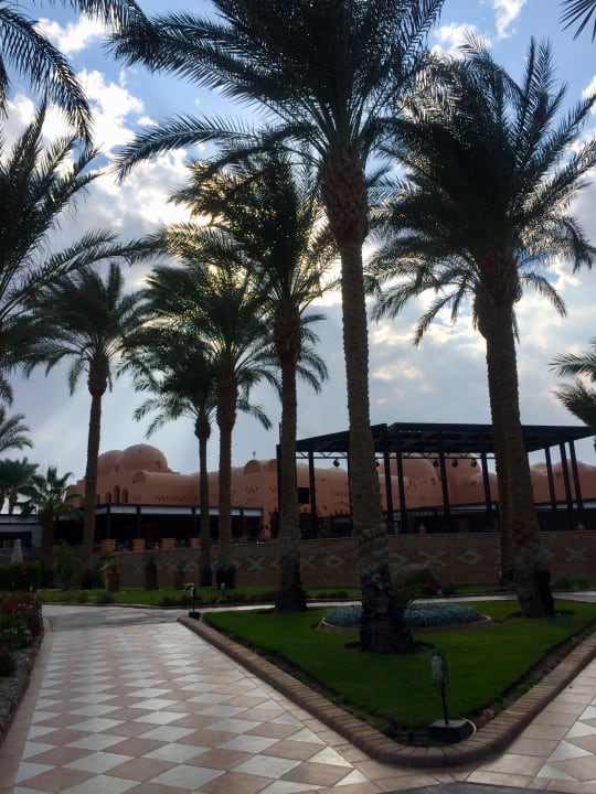 Gartenanlage Jaz Makadi Oasis Resort