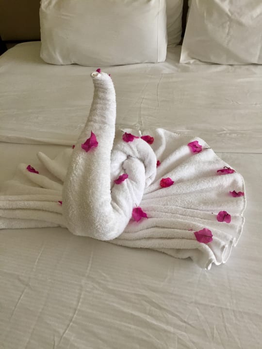 Zimmer Steigenberger ALDAU Beach Hotel