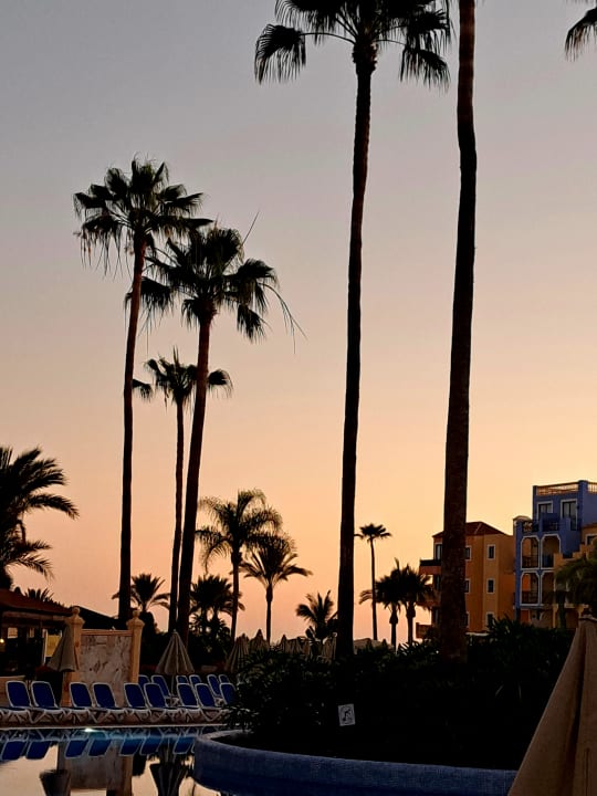 Gartenanlage Bahia Principe Sunlight Costa Adeje