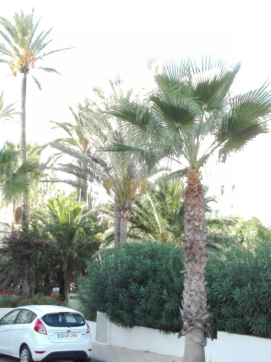 Außenansicht Apartments Ibiza