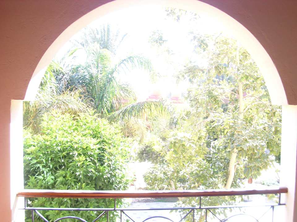 Blick vom Balkon aus  Makadi Palace