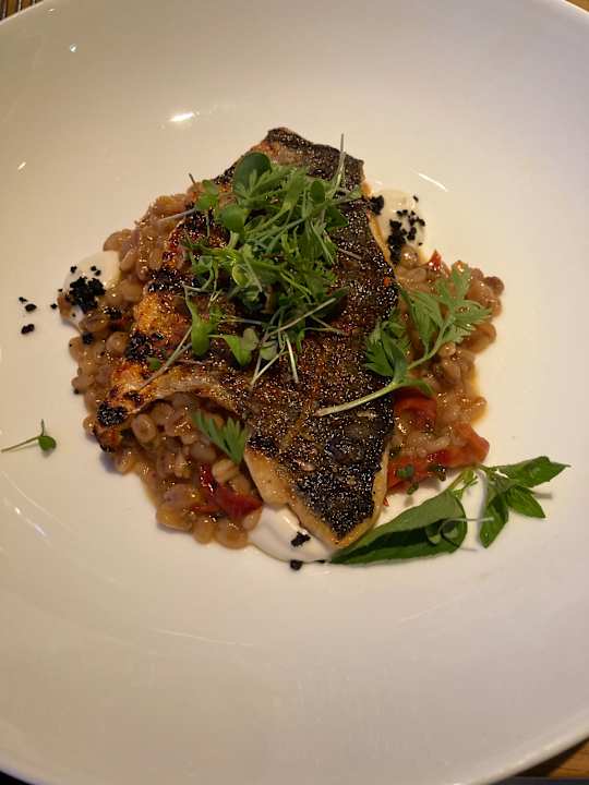 Gastro Seezeitlodge Hotel & Spa